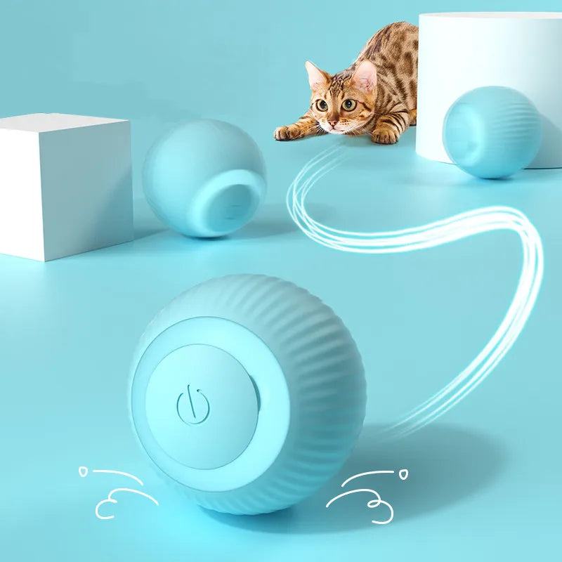 Bola Intêligente para Gato